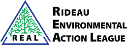 real logo