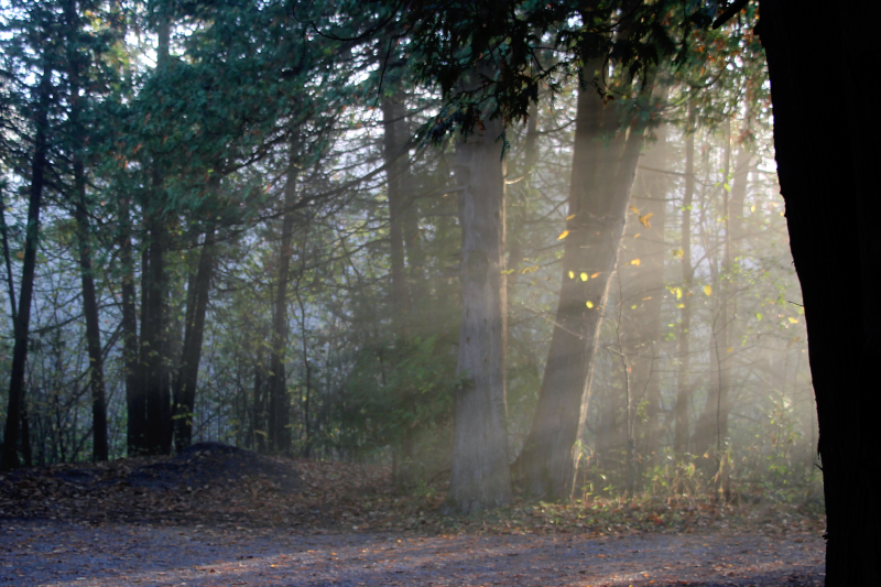 The Witch of Plum Hollow, Stories of Salem and more: The Historic Settlements of Rideau Lakes